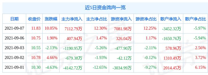 嘉化能源，引領(lǐng)能源行業(yè)的先鋒力量，嘉化能源，引領(lǐng)能源行業(yè)的先鋒典范
