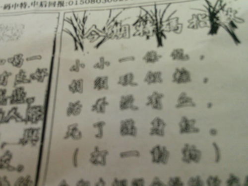 揭秘劉伯溫一肖，傳奇人物與生肖文化的交融，劉伯溫生肖傳奇，揭秘傳奇人物與生肖文化的神秘交融