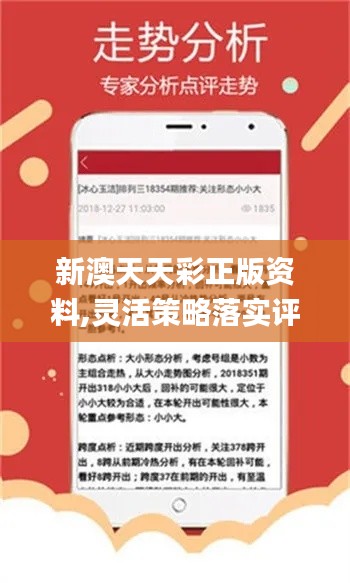 新澳精準(zhǔn)資料免費(fèi)提供，探索與實踐的指南，新澳精準(zhǔn)資料免費(fèi)分享，探索與實踐的導(dǎo)航指南