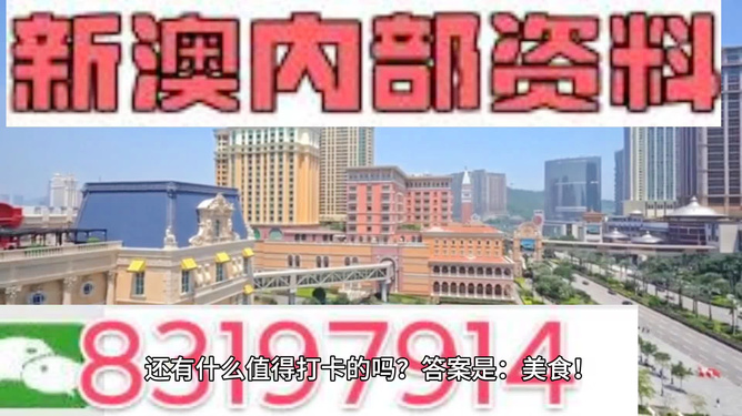 新澳門資料大全正版資料，全面解析與探索，澳門正版資料大全，全面解析與深度探索