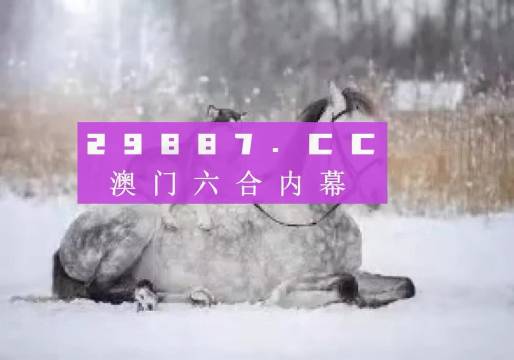 澳門正版精準(zhǔn)資料，探索2024年全新視界，澳門正版精準(zhǔn)資料揭秘，2024年全新視界展望