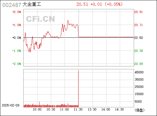 大金重工股份