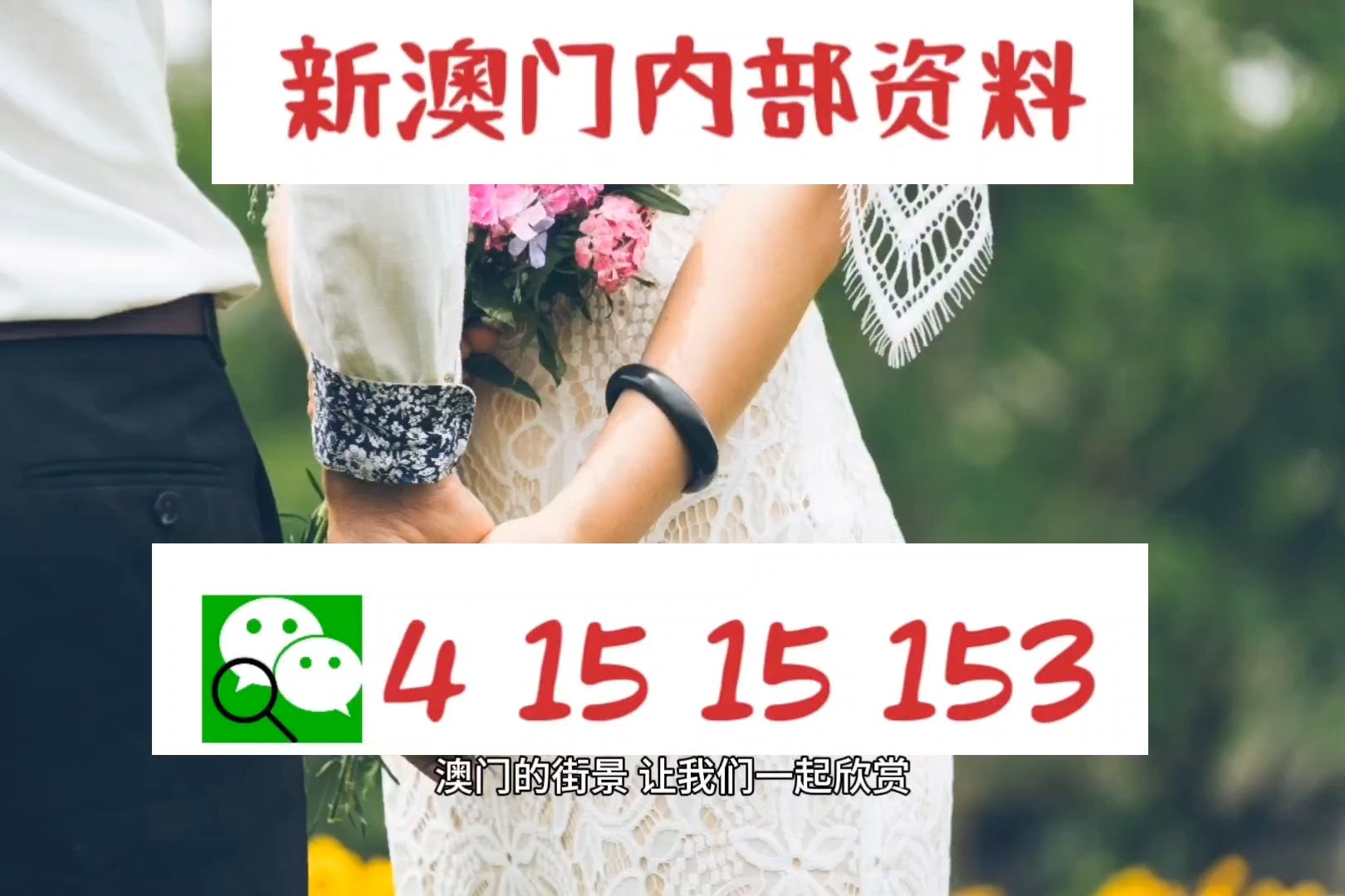 新澳新澳門正版資料，探索與解析，新澳新澳門正版資料深度解析與探索
