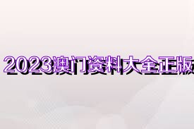 澳門正版免費全年資料大全旅游團，探索澳門之美的絕佳選擇，澳門正版全年資料大全旅游團，探索澳門之美的最佳指南