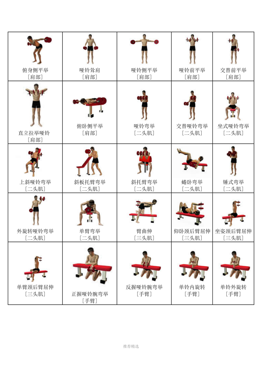 啞鈴鍛煉，百種動(dòng)作圖解指南，啞鈴鍛煉百種動(dòng)作圖解全攻略