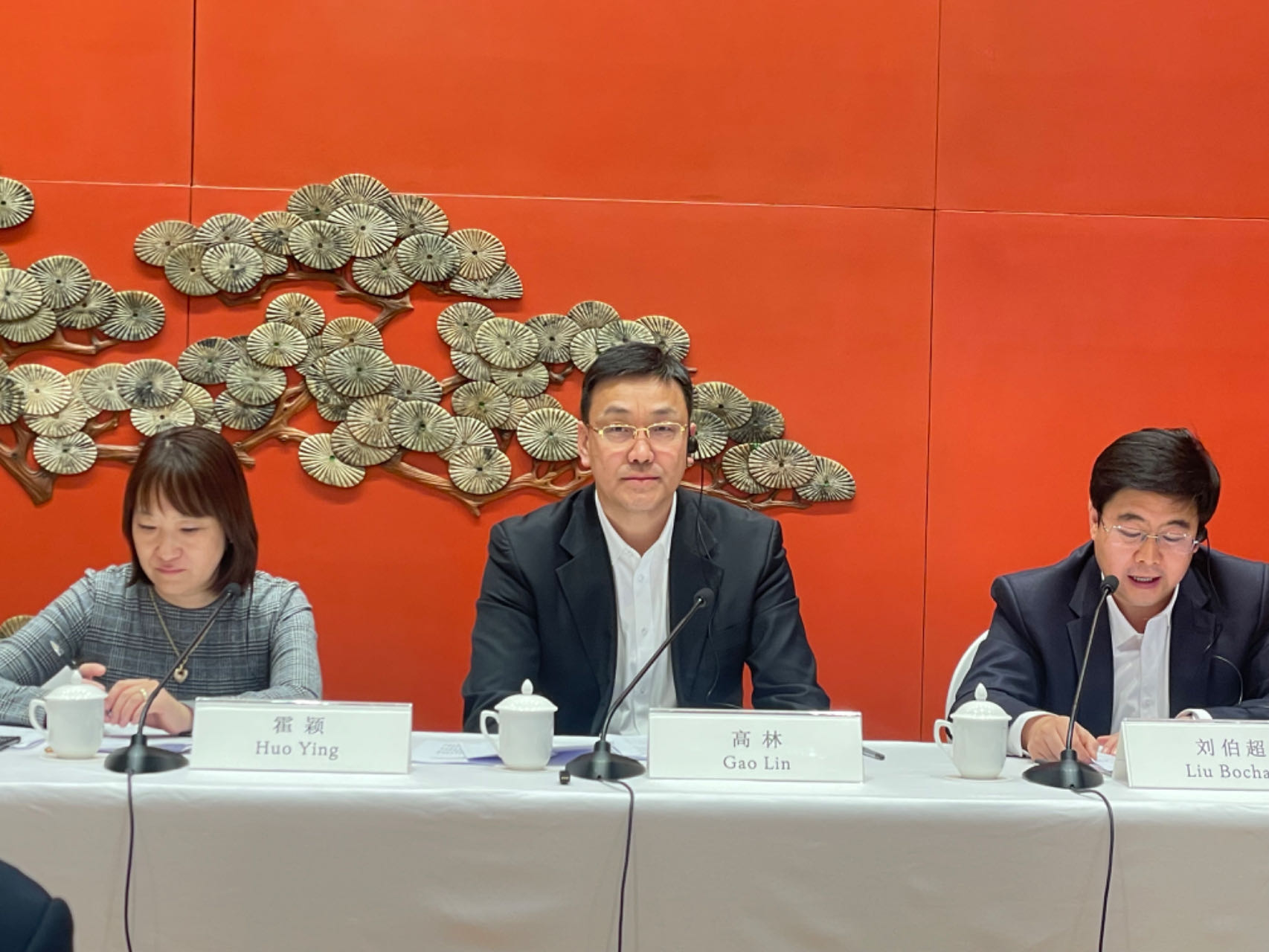 揭秘劉伯溫一肖中肖的神秘面紗，劉伯溫一肖中的神秘面紗揭秘
