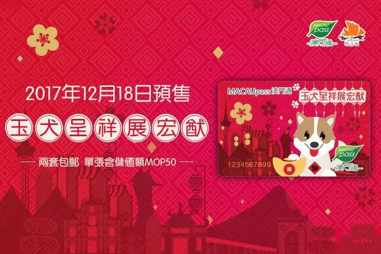 澳門正版資料大全與生肖卡的完美結合，探索資料世界的新篇章，澳門正版資料與生肖卡的融合探索，開啟資料世界新篇章