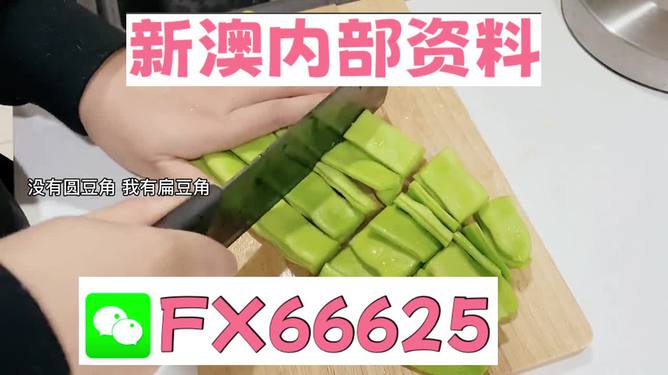 新澳精準(zhǔn)資料免費(fèi)提供，探索與實(shí)踐的指南，新澳精準(zhǔn)資料免費(fèi)分享，探索與實(shí)踐的導(dǎo)航指南