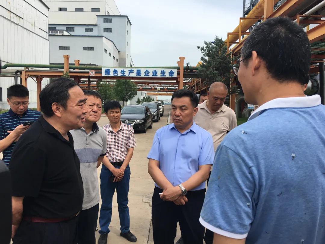 九洲藥業(yè)千股千評，深度解析與前景展望，九洲藥業(yè)千股千評，深度解析及前景展望