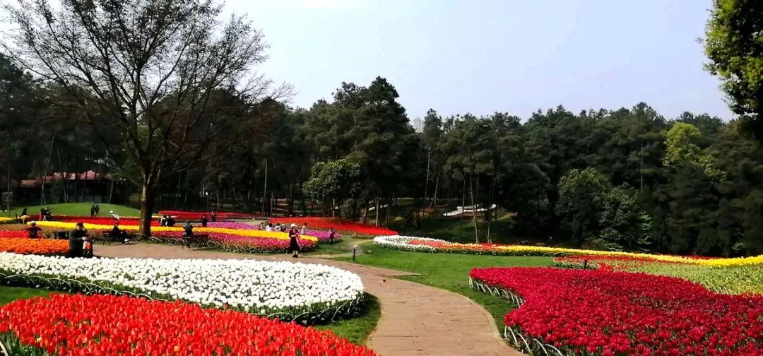 成都石象湖公園景點(diǎn)詳細(xì)介紹，成都石象湖公園景點(diǎn)深度解析