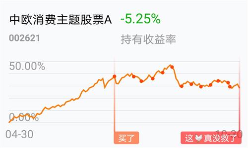 中歐消費主題股票A基金的深度解析，中歐消費主題股票A基金的全面深度解析