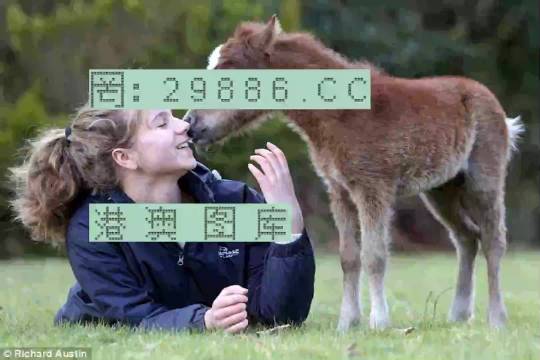 澳門今晚必開一肖一特，深度解析與預(yù)測(cè)，澳門今晚生肖特碼深度解析與預(yù)測(cè)，一肖一特必開趨勢(shì)探討