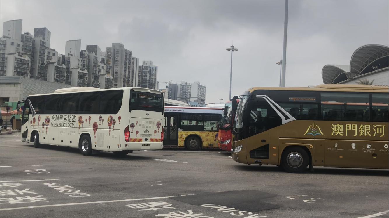 澳門天天免費(fèi)精準(zhǔn)大全——探索澳門的精彩與秘密，澳門天天免費(fèi)精準(zhǔn)大全，揭秘澳門的精彩與神秘面紗