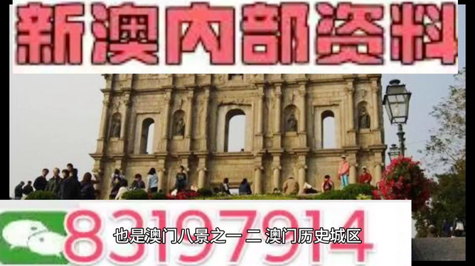 新澳新澳門正版資料，探索與揭秘，新澳新澳門正版資料揭秘與探索