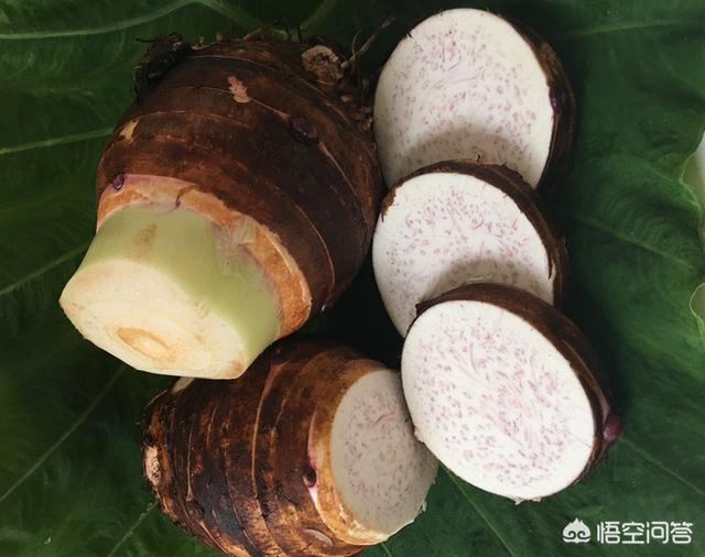 三種人不能吃芋頭，了解芋頭的禁忌與適宜人群，芋頭食用禁忌，三類人群需特別注意