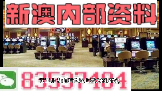 新澳門最精準——探索澳門的精準旅游體驗，澳門精準旅游探索，深度體驗澳門的獨特魅力