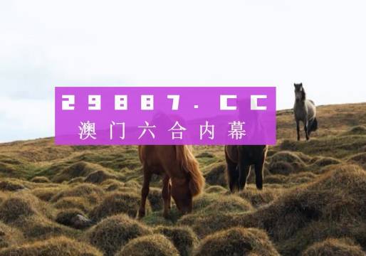 澳門六開獎結(jié)果2023開獎記錄查詢網(wǎng)站——全面解析與深度查詢指南，澳門六開獎結(jié)果深度解析與查詢指南 2023年開獎記錄查詢網(wǎng)站