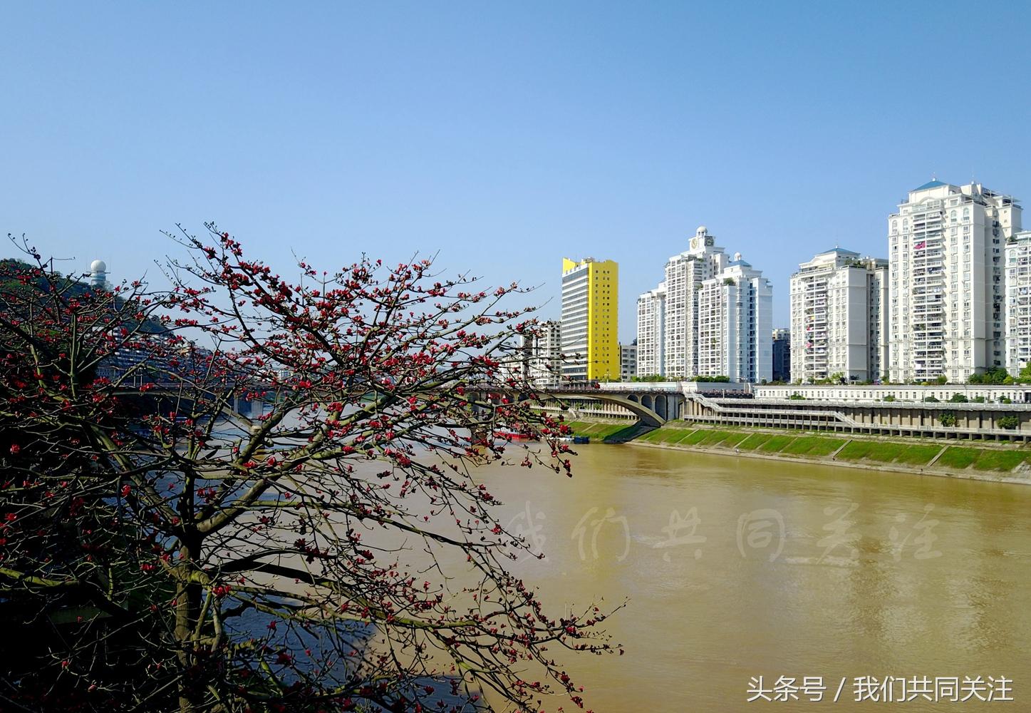 寶莫股份股吧東方財(cái)富，深度解析與前景展望，寶莫股份前景深度解析與東方財(cái)富展望