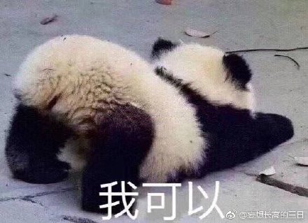 劉伯溫一肖四不像，神秘人物與傳奇故事，劉伯溫一肖四不像，神秘人物背后的傳奇故事